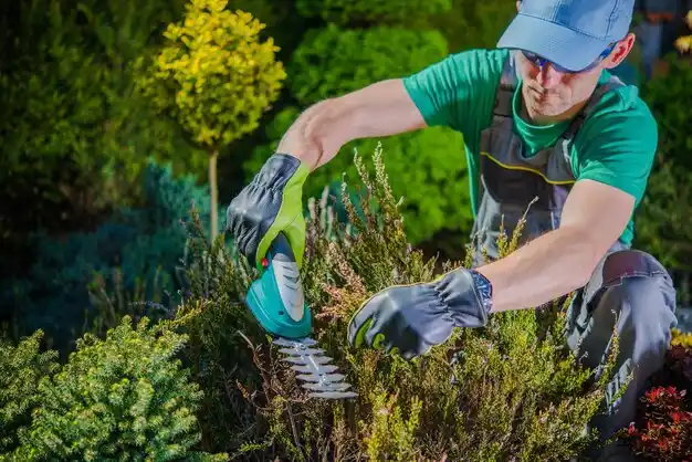 landscaping services Archbold